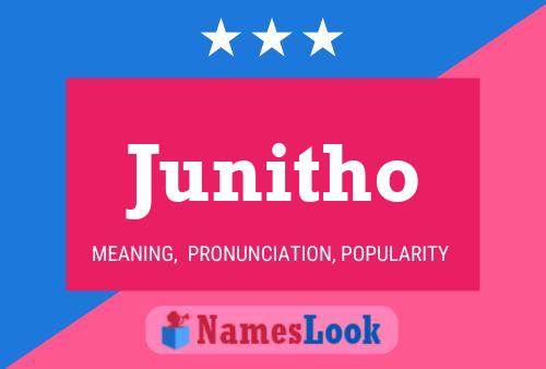 Постер имени Junitho