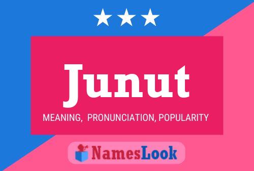 Постер имени Junut