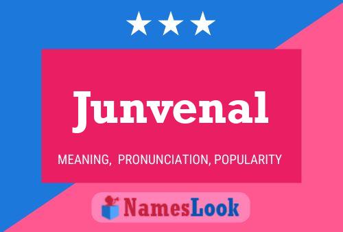 Постер имени Junvenal