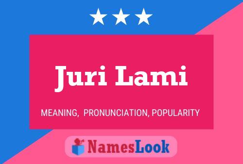 Постер имени Juri Lami