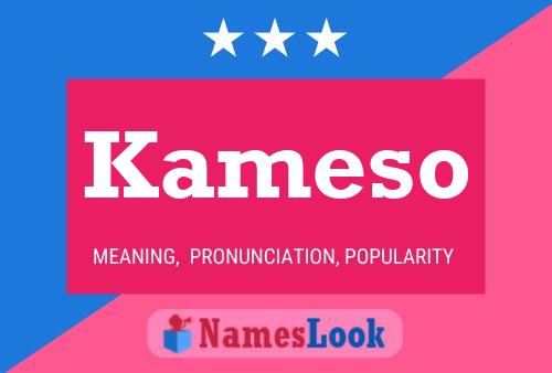 Постер имени Kameso