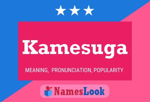 Постер имени Kamesuga