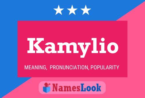 Постер имени Kamylio