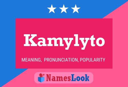 Постер имени Kamylyto