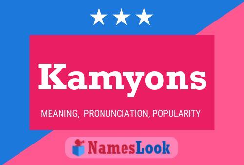 Постер имени Kamyons