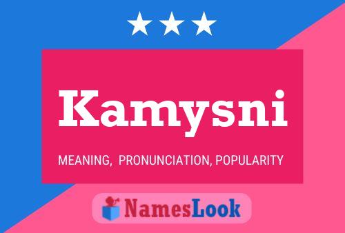 Постер имени Kamysni