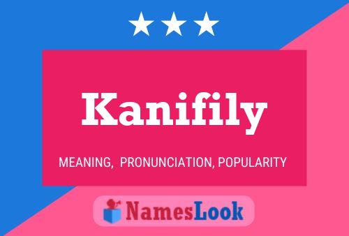 Постер имени Kanifily