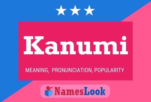 Постер имени Kanumi