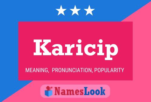 Постер имени Karicip