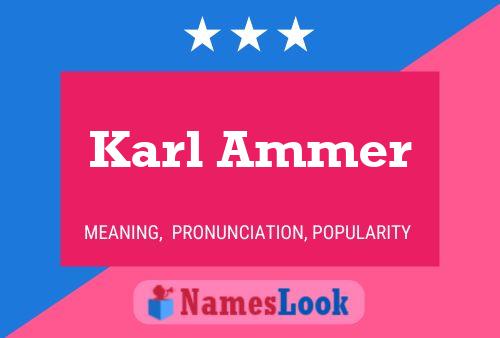 Постер имени Karl Ammer