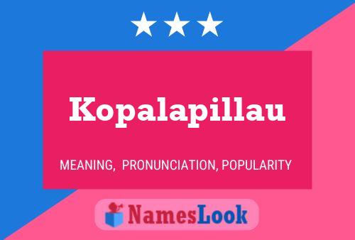 Постер имени Kopalapillau