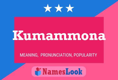 Постер имени Kumammona