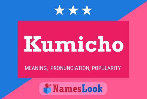 Постер имени Kumicho