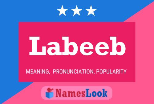 Постер имени Labeeb