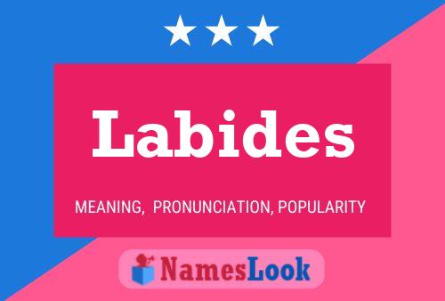 Постер имени Labides