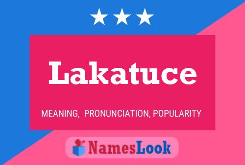 Постер имени Lakatuce