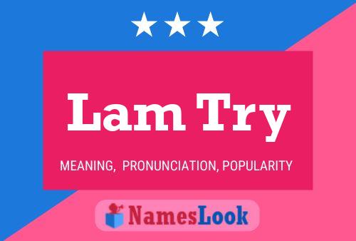 Постер имени Lam Try