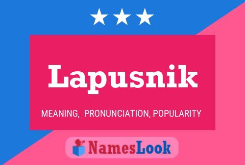 Постер имени Lapusnik