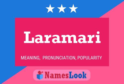 Постер имени Laramari