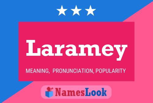 Постер имени Laramey