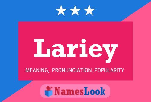 Постер имени Lariey