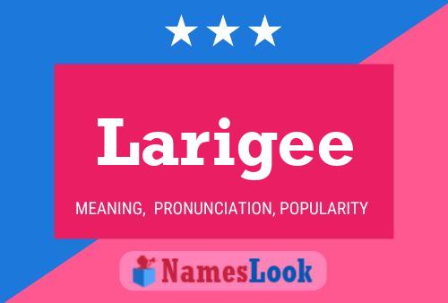 Постер имени Larigee