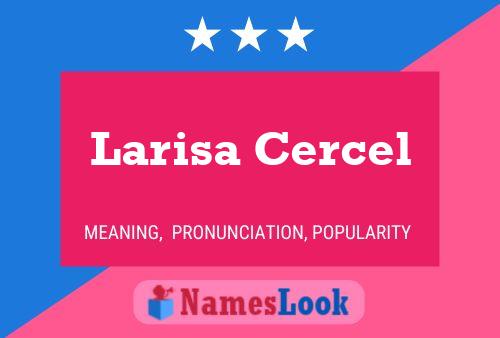 Постер имени Larisa Cercel