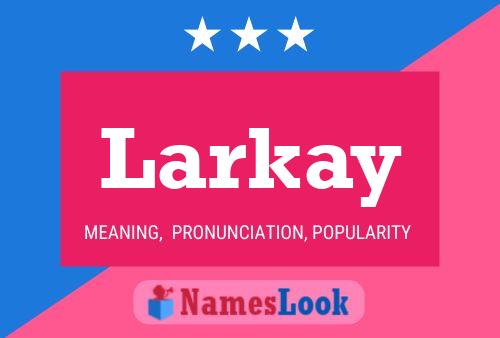 Постер имени Larkay