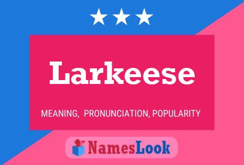 Постер имени Larkeese