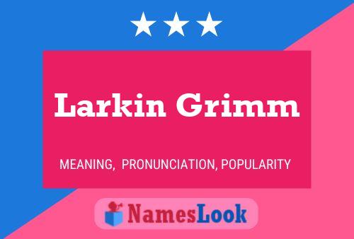 Постер имени Larkin Grimm