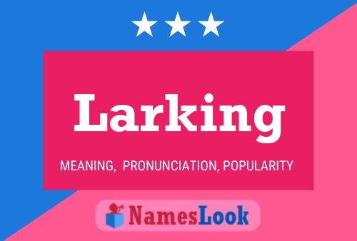 Постер имени Larking