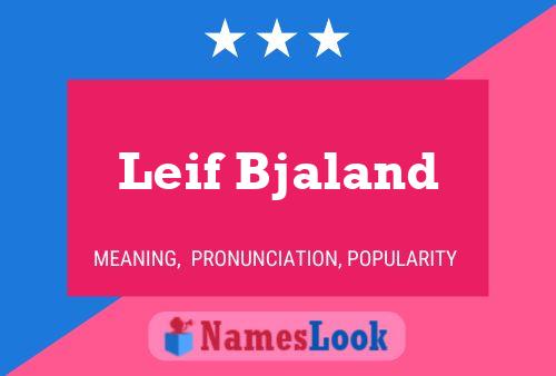 Постер имени Leif Bjaland