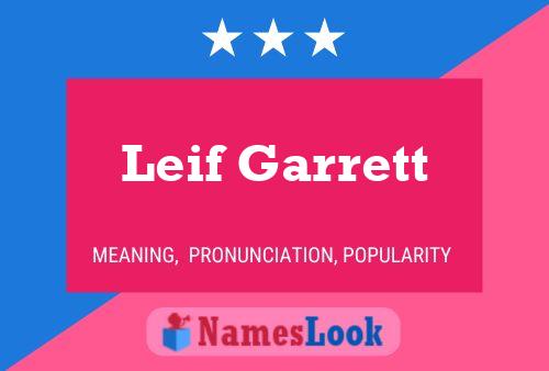 Постер имени Leif Garrett