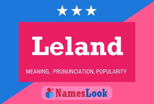 Постер имени Leland