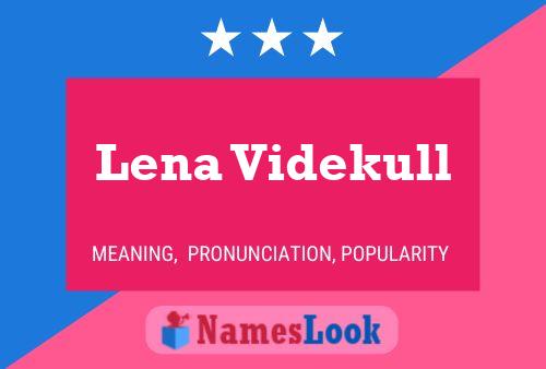 Постер имени Lena Videkull