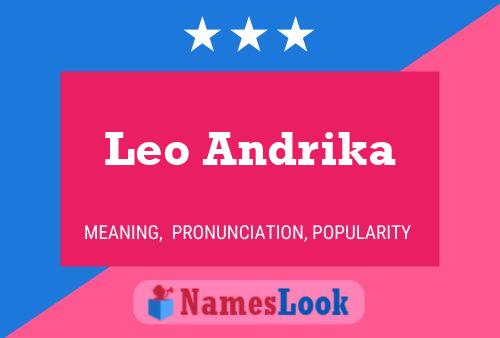 Постер имени Leo Andrika