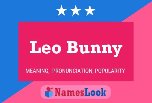 Постер имени Leo Bunny