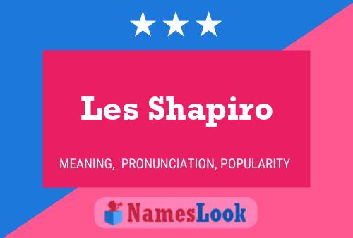 Постер имени Les Shapiro