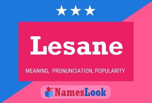 Постер имени Lesane