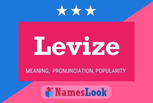 Постер имени Levize