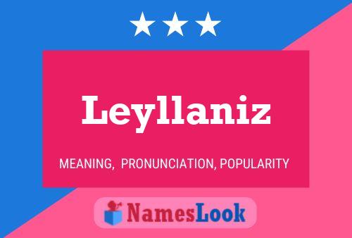 Постер имени Leyllaniz