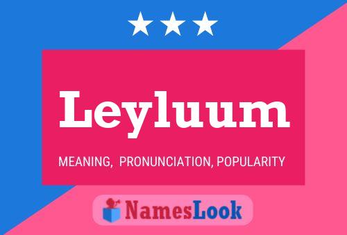 Постер имени Leyluum