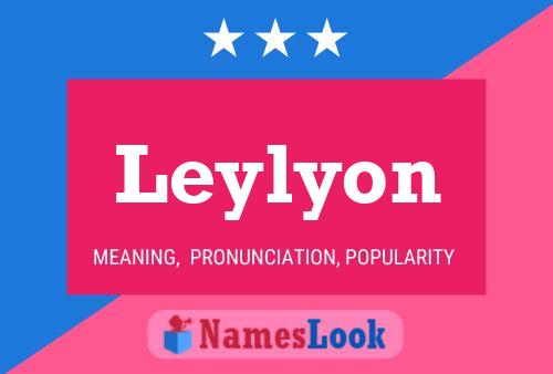 Постер имени Leylyon