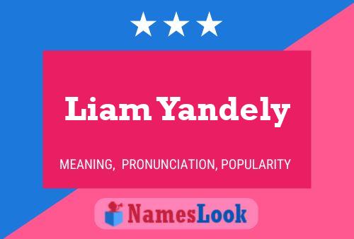 Постер имени Liam Yandely