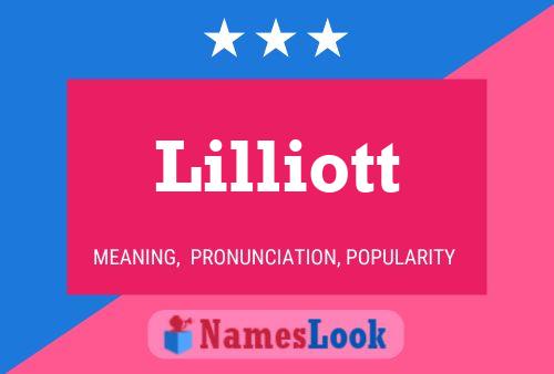 Постер имени Lilliott