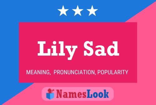 Постер имени Lily Sad