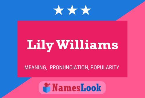 Постер имени Lily Williams