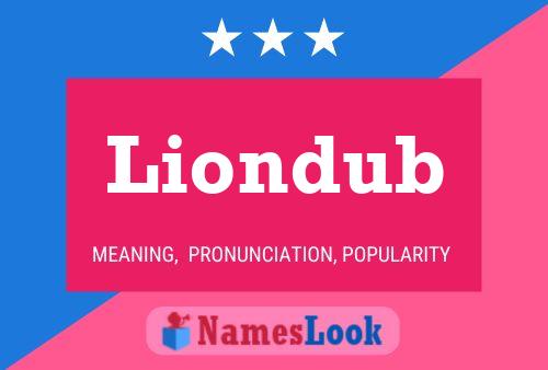 Постер имени Liondub