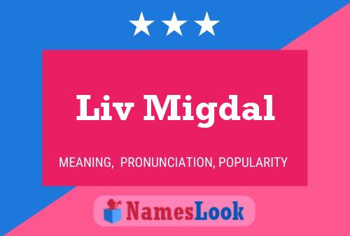 Постер имени Liv Migdal