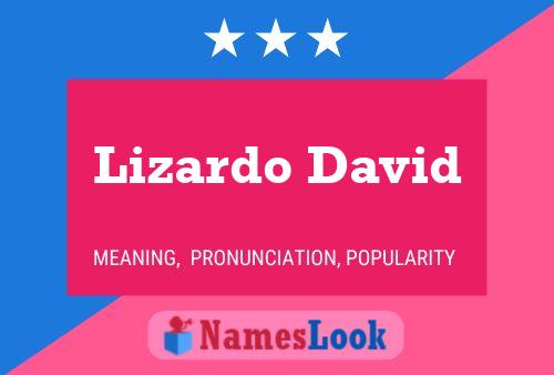 Постер имени Lizardo David